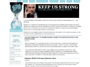 Большая победа: сайт Wikileaks одолел в суде компании Visa и MasterCard