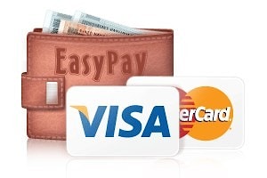 Кошельки EasyPay можно пополнить картами Visa и MasterCard