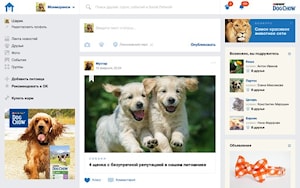 Соцсеть для домашних животных в Одноклассниках