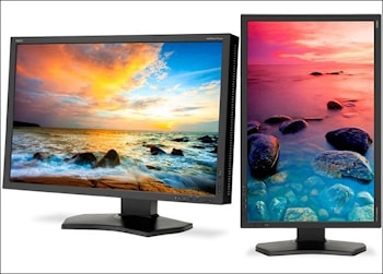Профессиональный монитор начального уровня NEC P242W-BK  