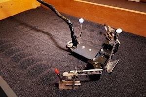 Разработан черепашка-робот  