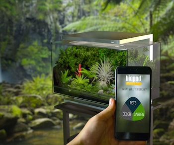 Biopod: микроклимат в стиле смарт  