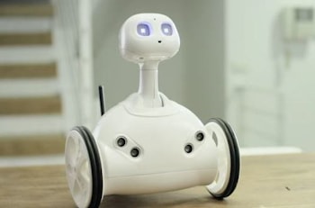 Robit: робот-помощник  