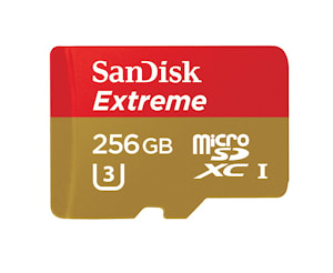 Быстрая карта памяти SanDisk microSD от Western Digital Corporation  