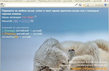 Dictionary.NET: программа-словарик  