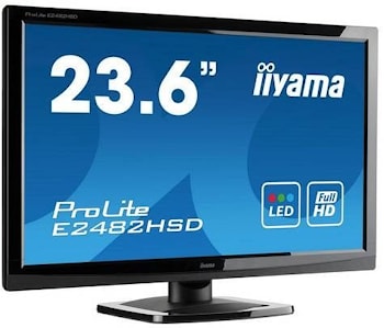 Все краски лета в мониторе iiyama ProLite E2482HSD  