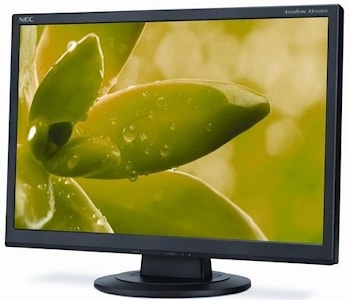 Недорогой монитор для среднего бизнеса NEC AccuSync AS192WM  